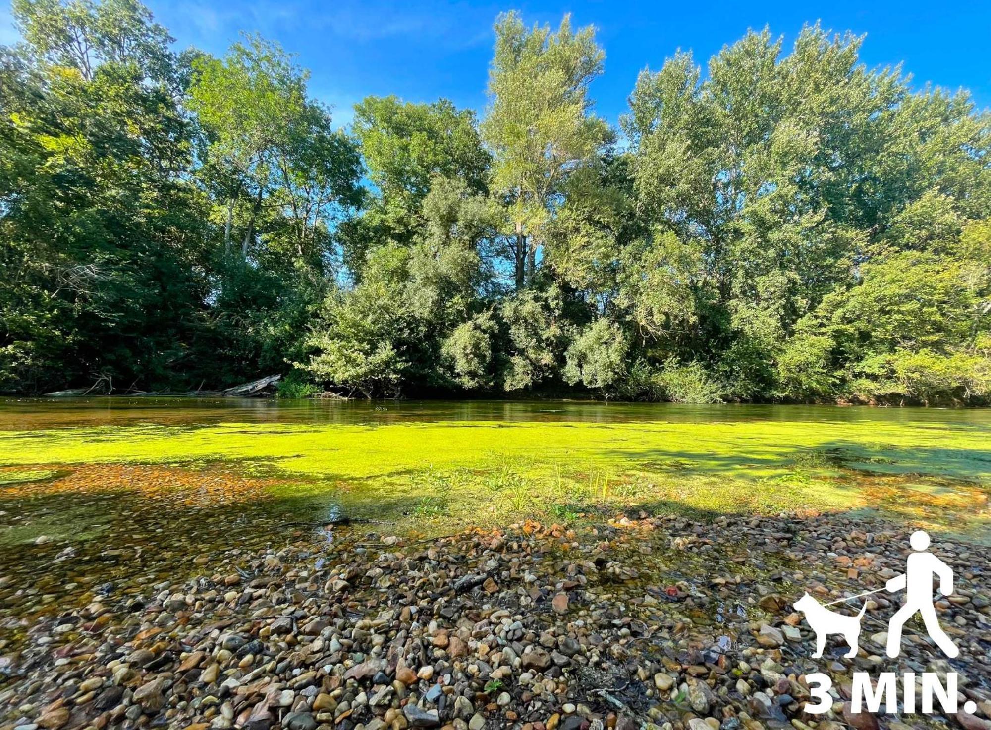 Gite Du Loiret Saint-Hilaire-Saint-Mesmin エクステリア 写真